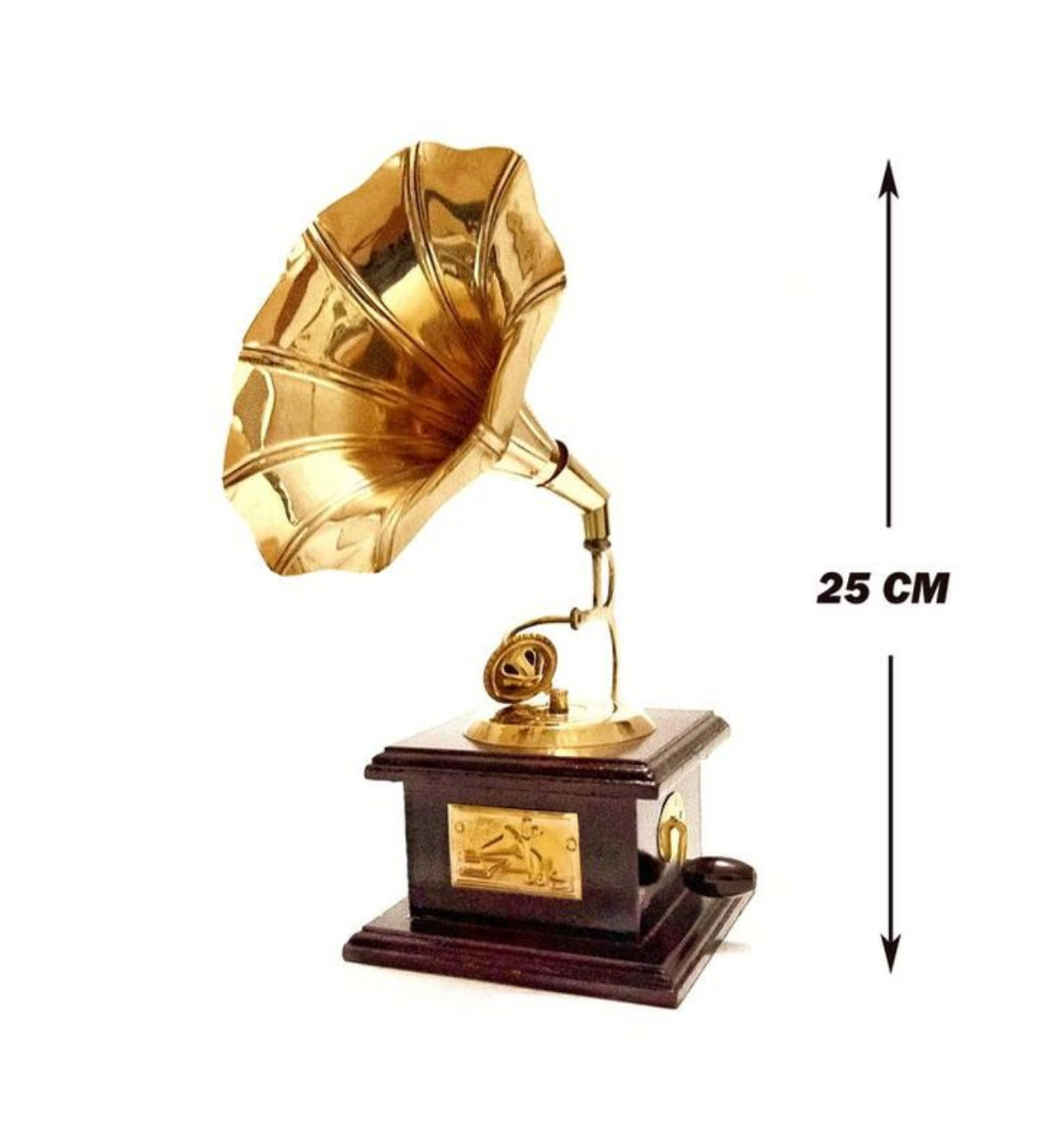 Gramophone Showpiece